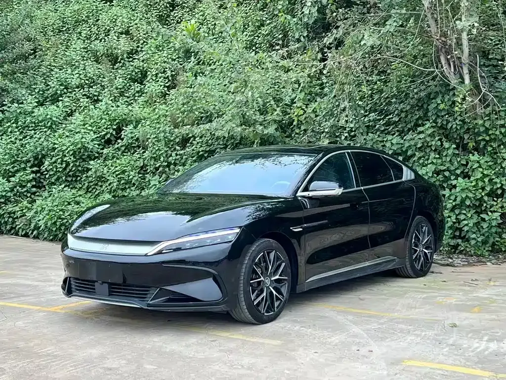 BYD Han 2024 из CN, фото 1