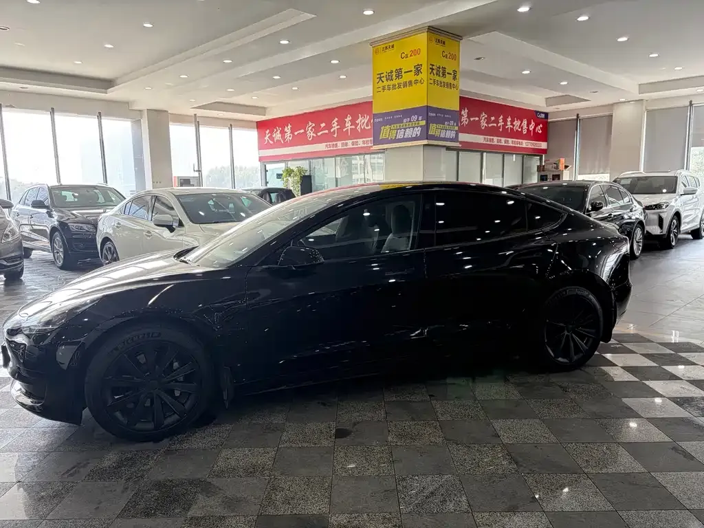 Tesla Model 3 2021 из CN, фото 10