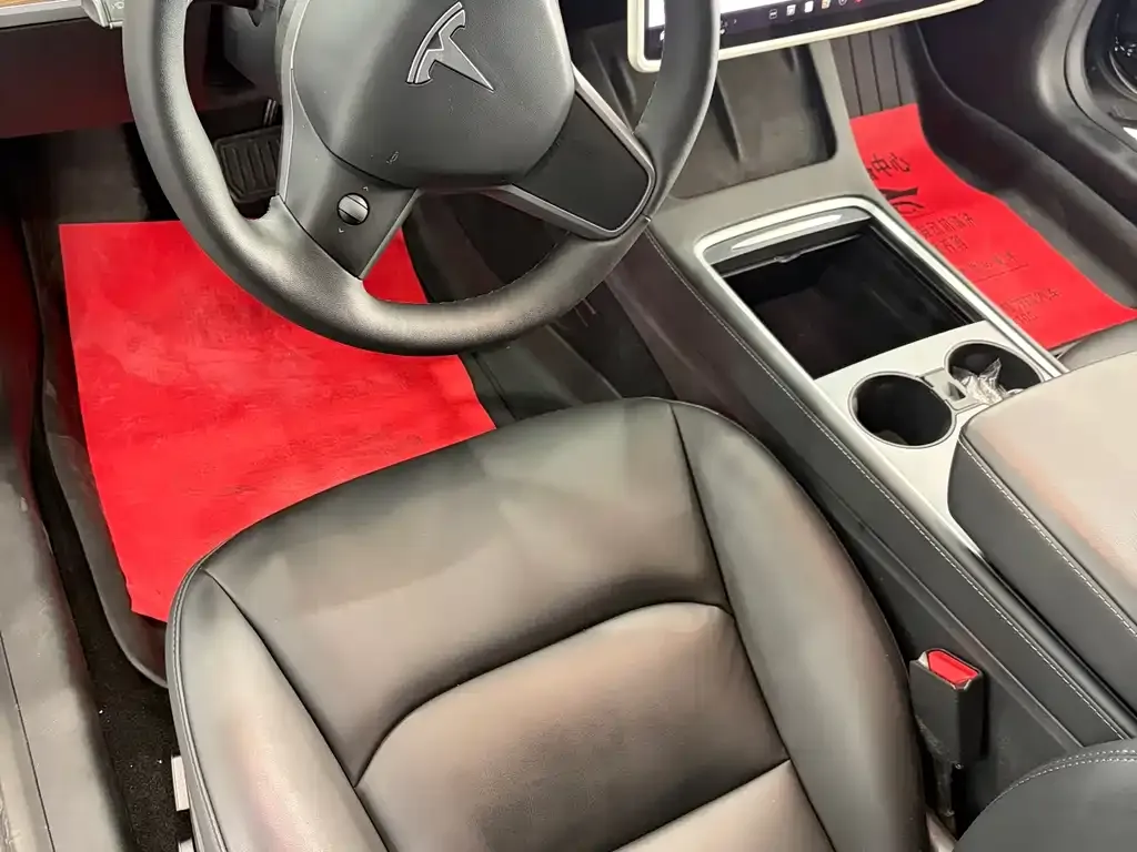 Tesla Model 3 2021 из CN, фото 3