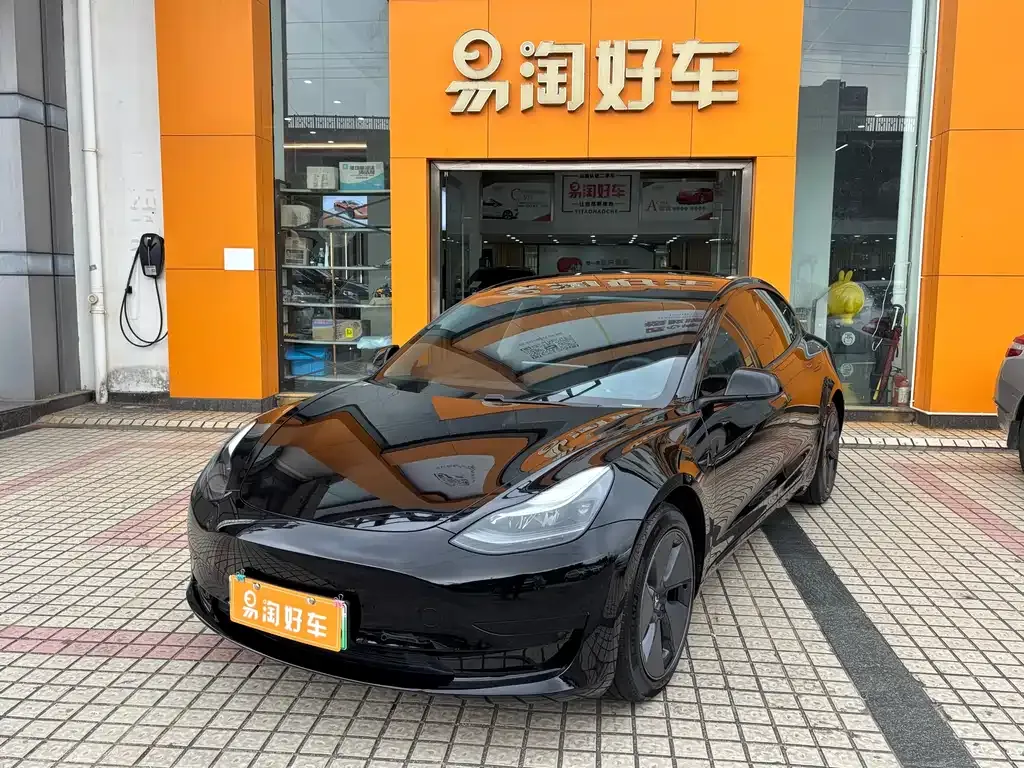 Tesla Model 3 2021 из CN, фото 1