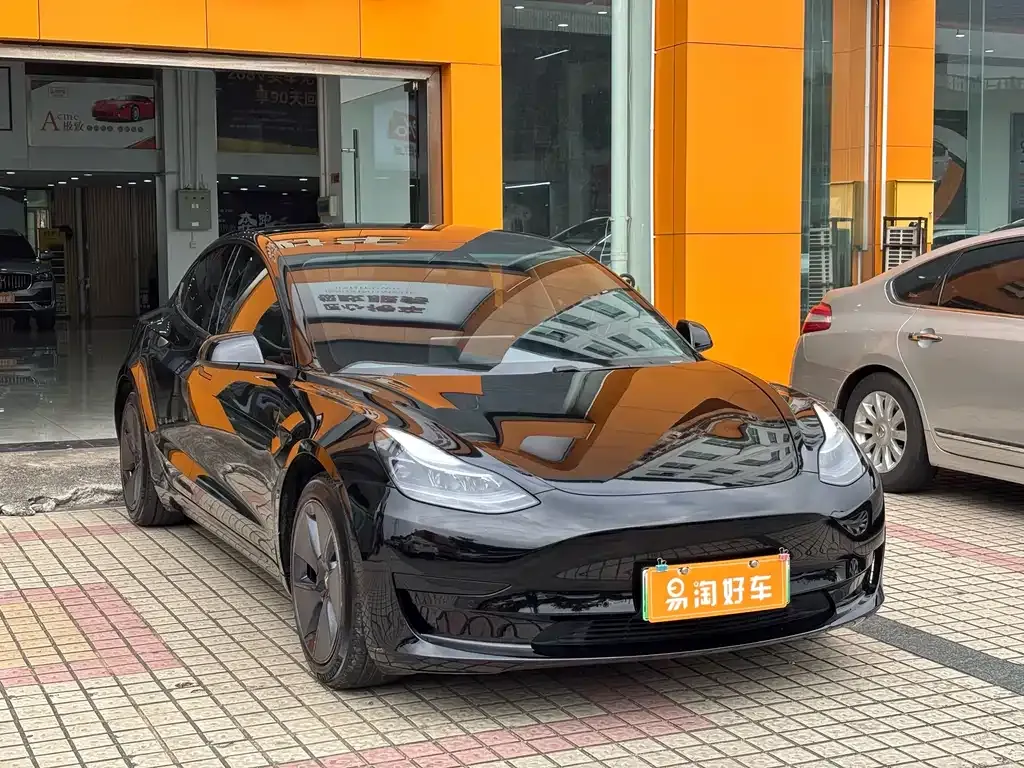 Tesla Model 3 2021 из CN, фото 2