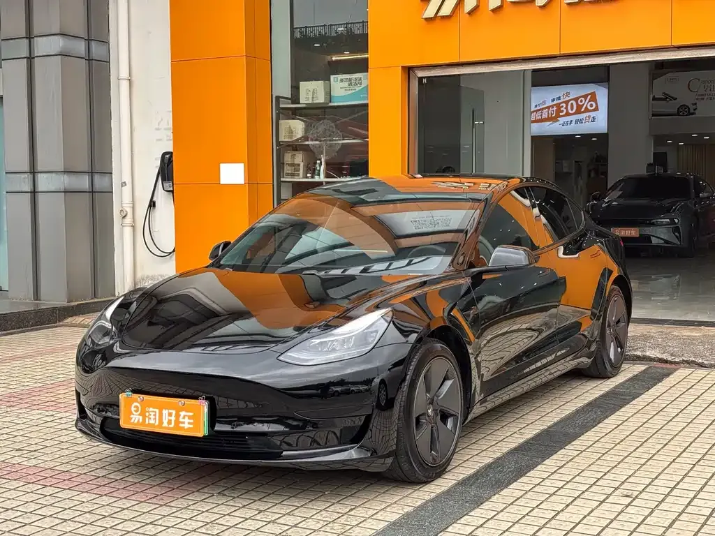 Tesla Model 3 2021 из CN, фото 6