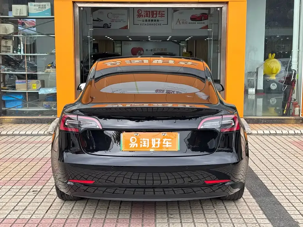 Tesla Model 3 2021 из CN, фото 5