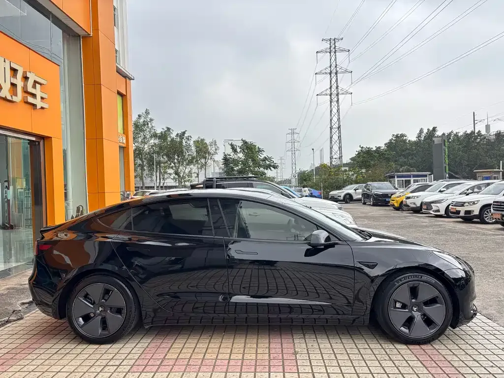 Tesla Model 3 2021 из CN, фото 8