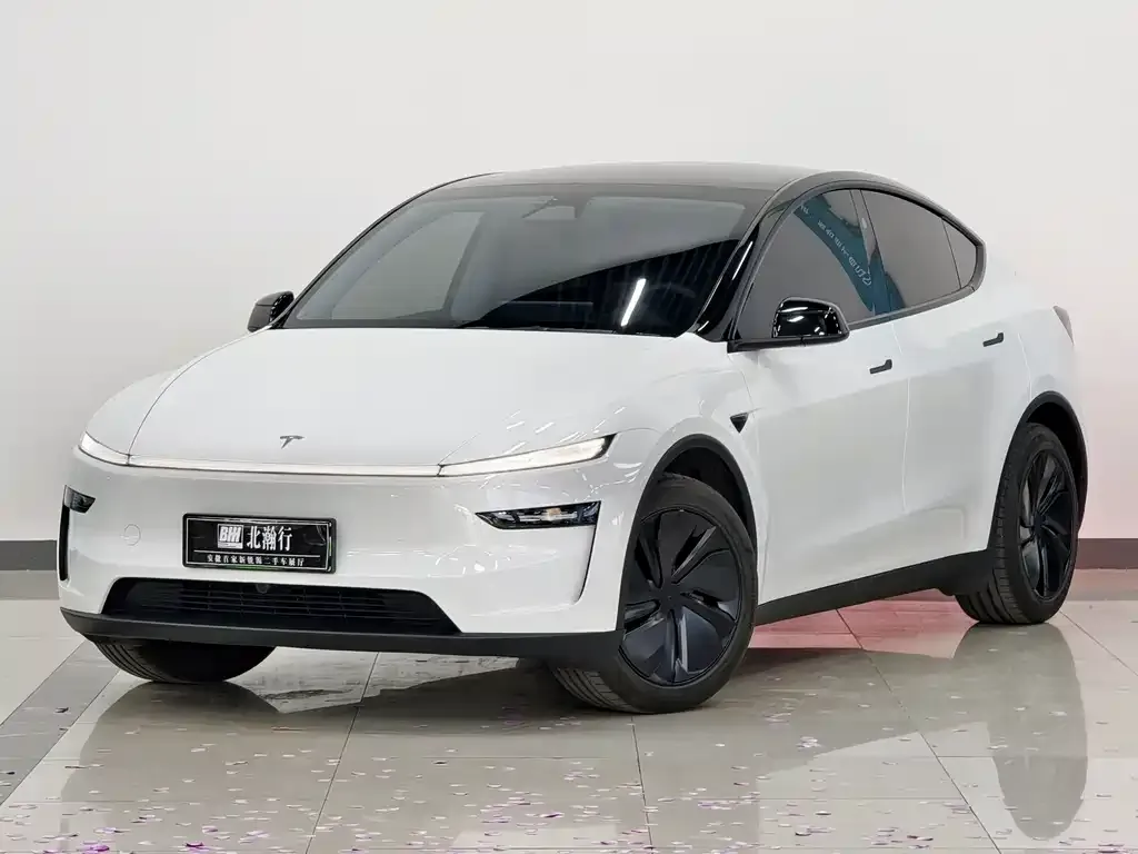 Tesla Model Y 2025 из CN, фото 1