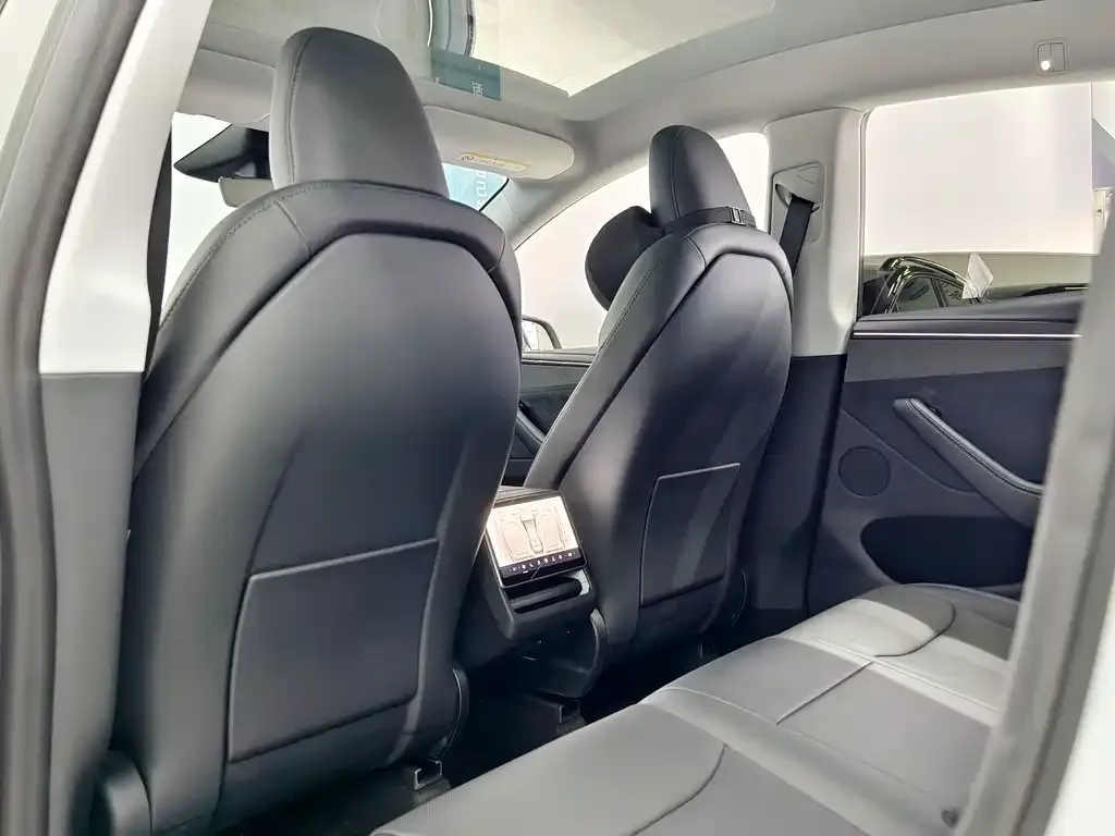 Tesla Model Y 2025 из CN, фото 9