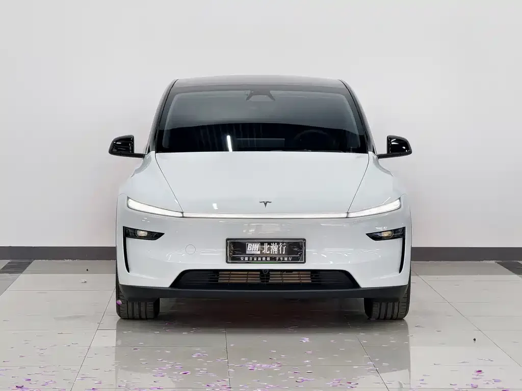 Tesla Model Y 2025 из CN, фото 10