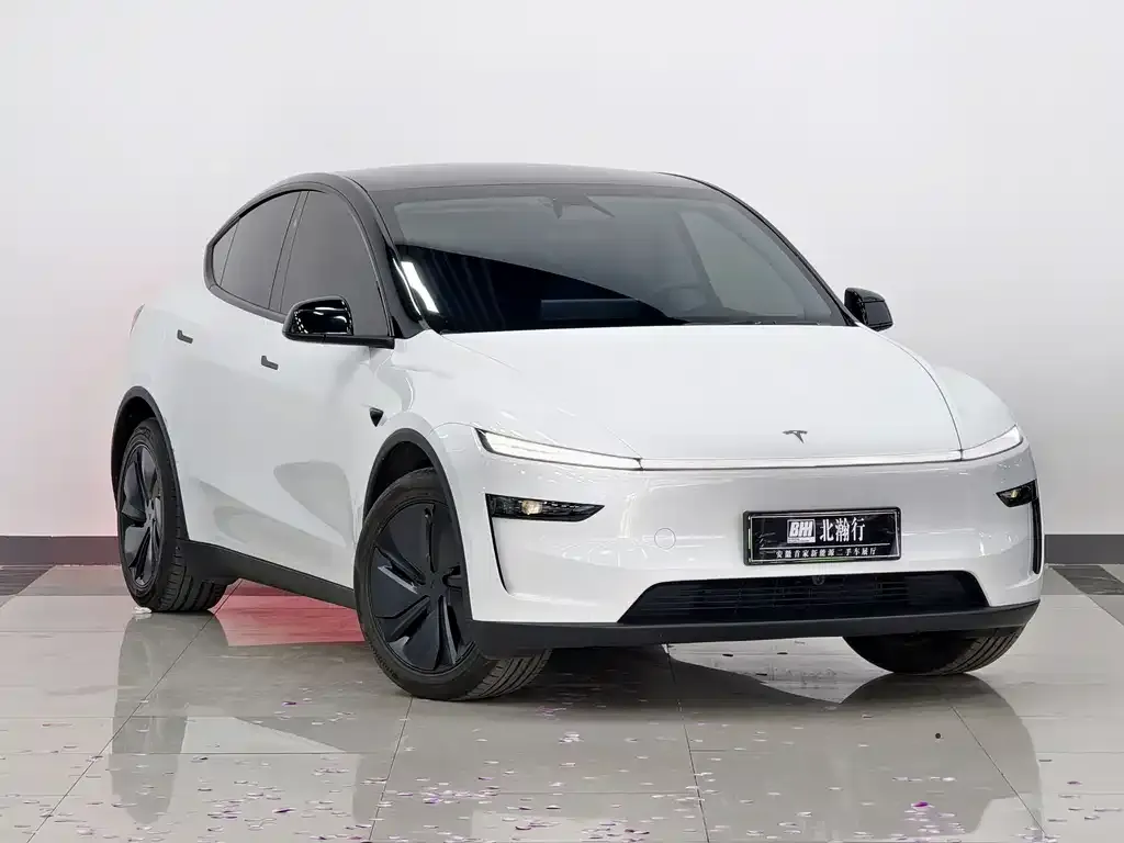 Tesla Model Y 2025 из CN, фото 2