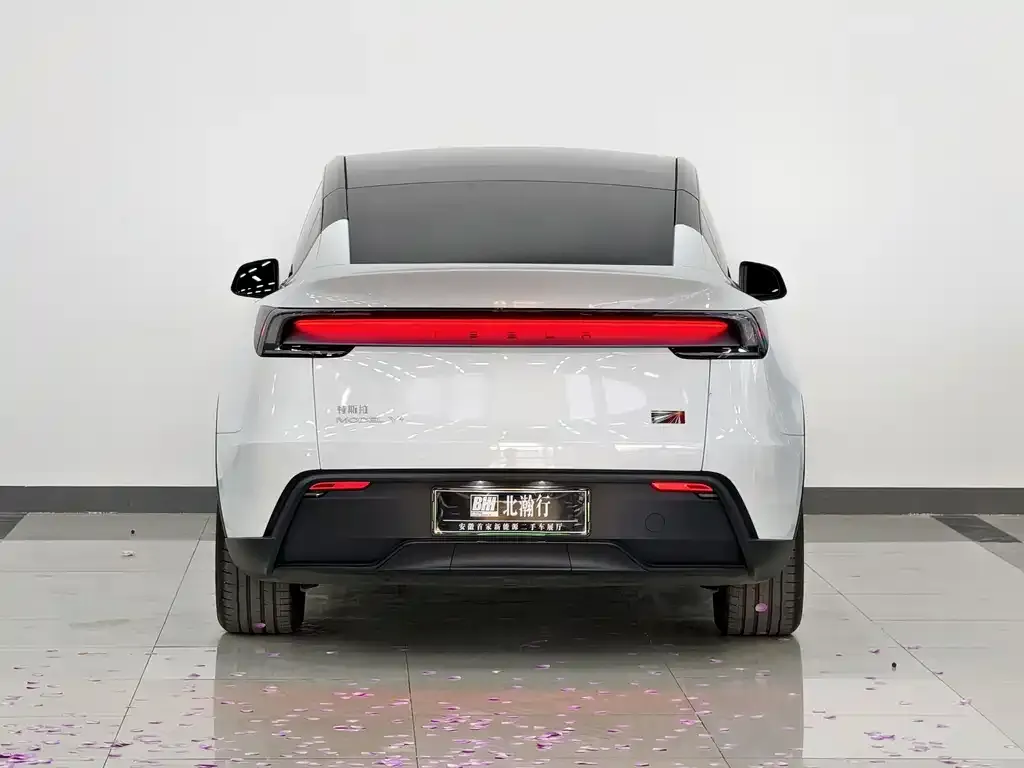 Tesla Model Y 2025 из CN, фото 5