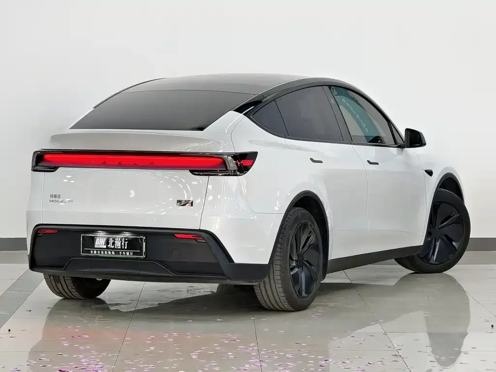 Tesla Model Y 2025 из CN, фото 3