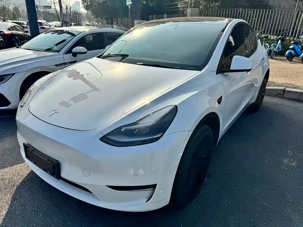 Tesla Model Y 2021 из CN, фото 1