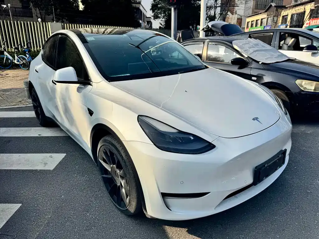 Tesla Model Y 2021 из CN, фото 3