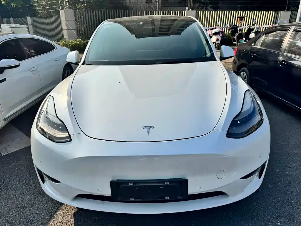 Tesla Model Y 2021 из CN, фото 2