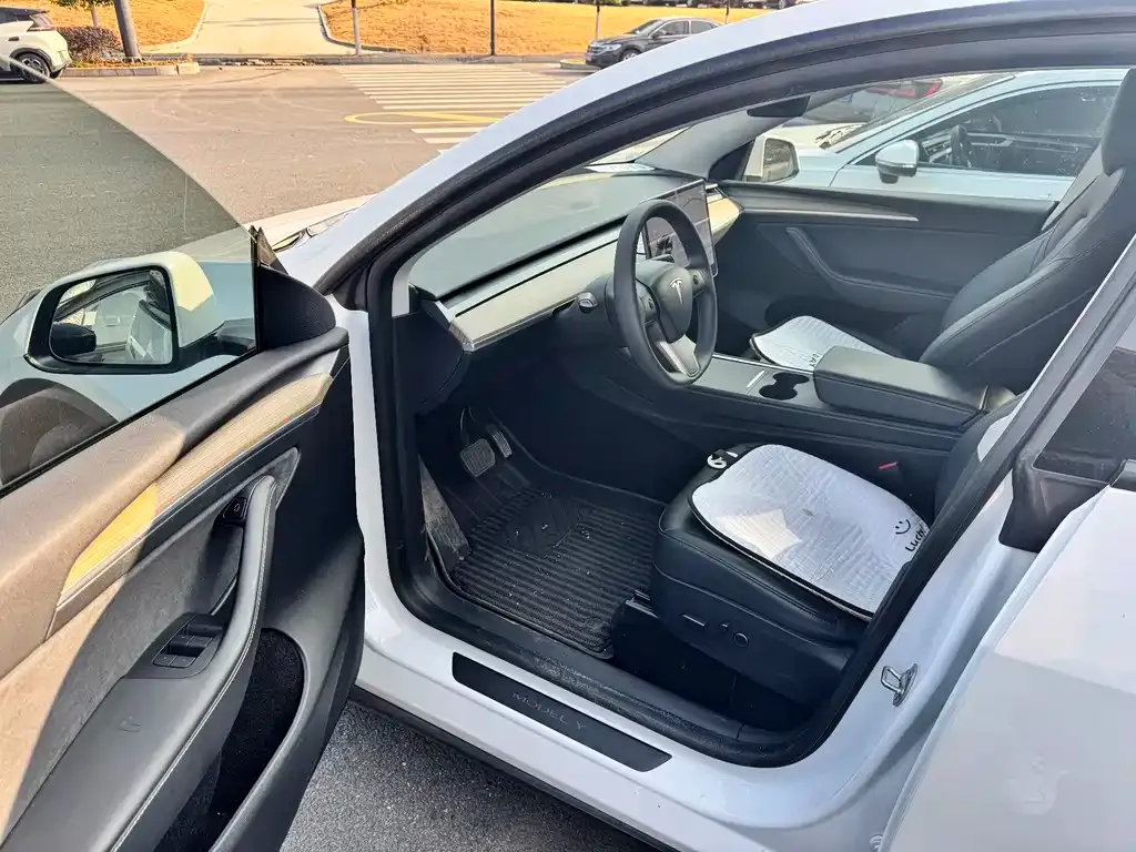 Tesla Model Y 2021 из CN, фото 4