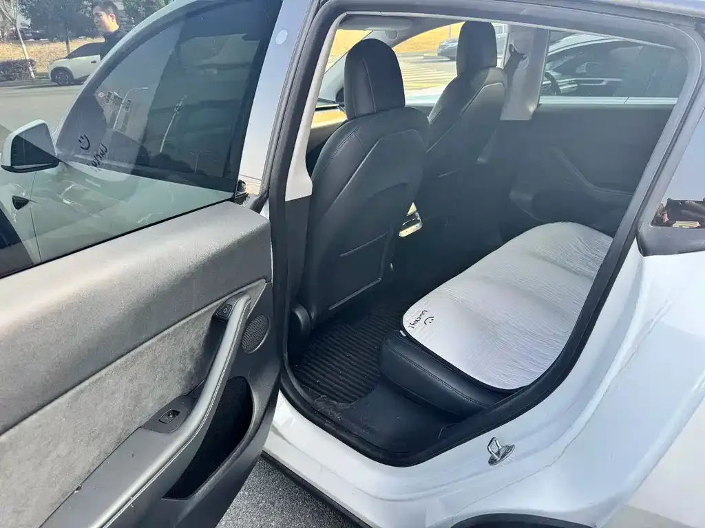 Tesla Model Y 2021 из CN, фото 6