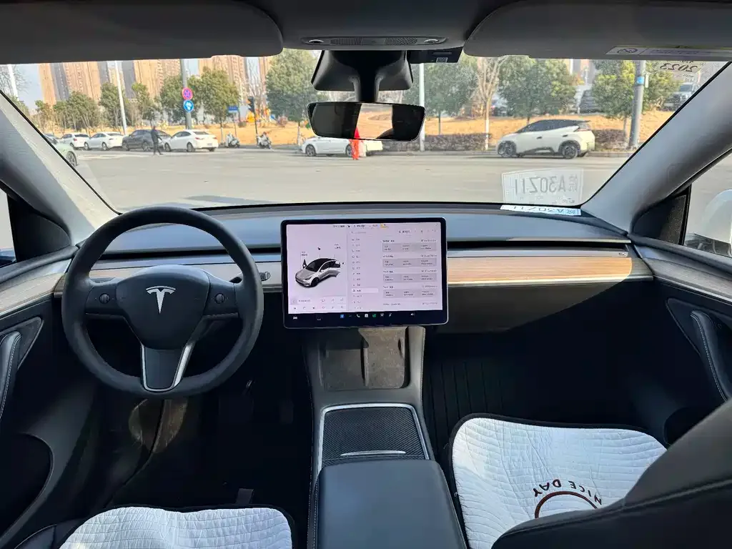 Tesla Model Y 2021 из CN, фото 8