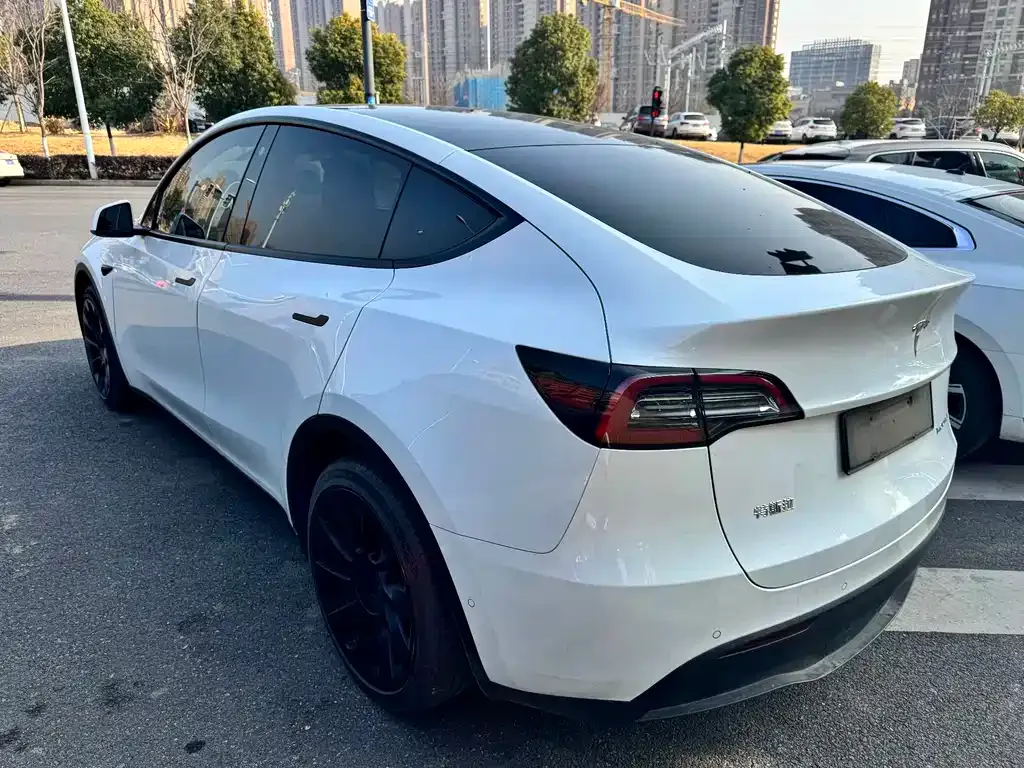 Tesla Model Y 2021 из CN, фото 5