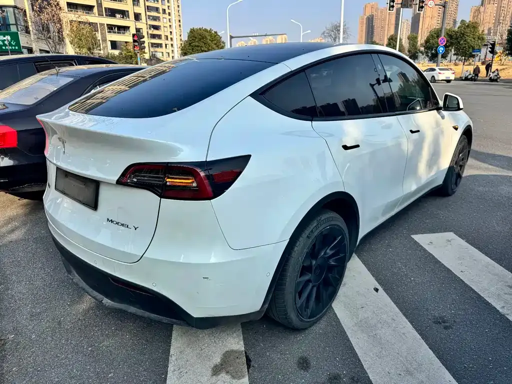 Tesla Model Y 2021 из CN, фото 9