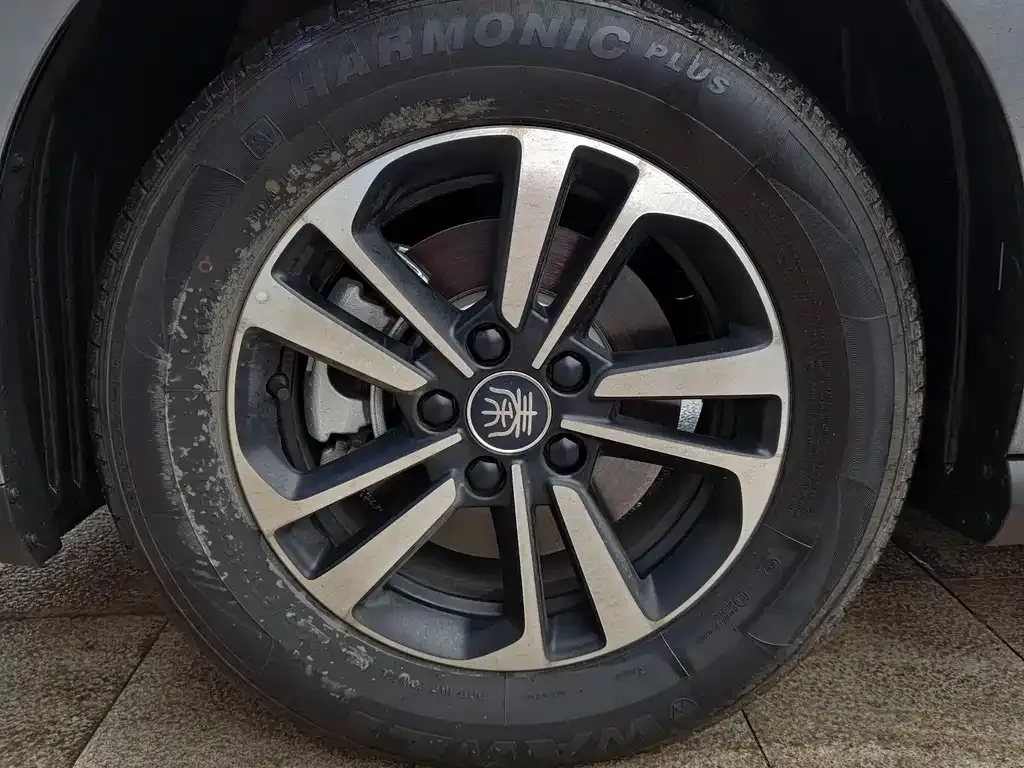 BYD Qin PLUS 2025 из CN, фото 2