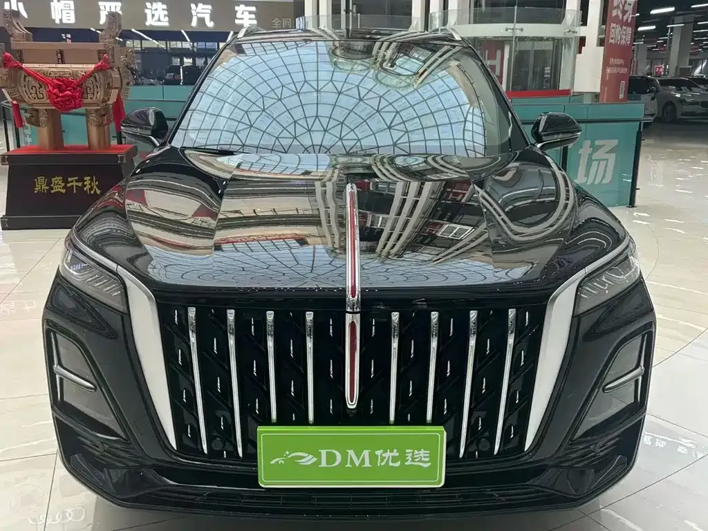 Hongqi HS5 2025 из CN, фото 5