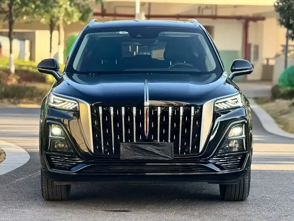 Hongqi HS5 2023 из CN, фото 9
