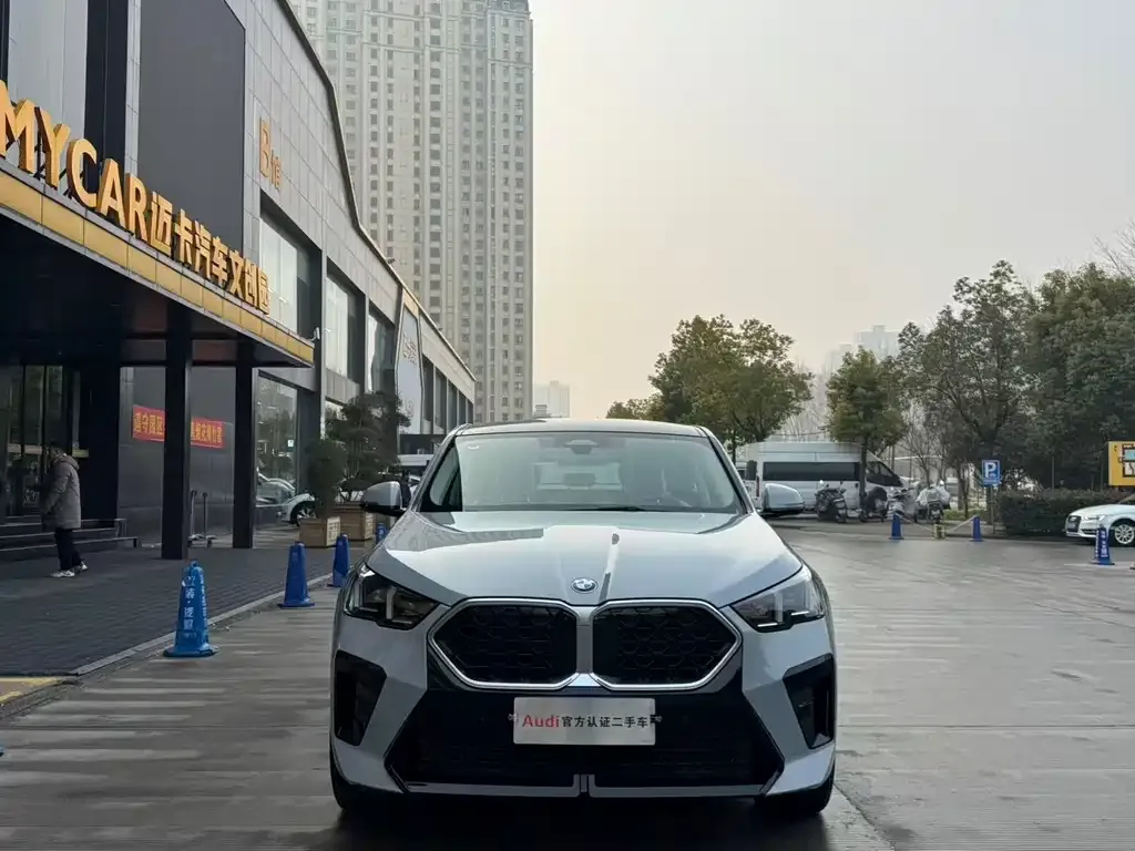 BMW X2 (Import) 2024 из CN, фото 4
