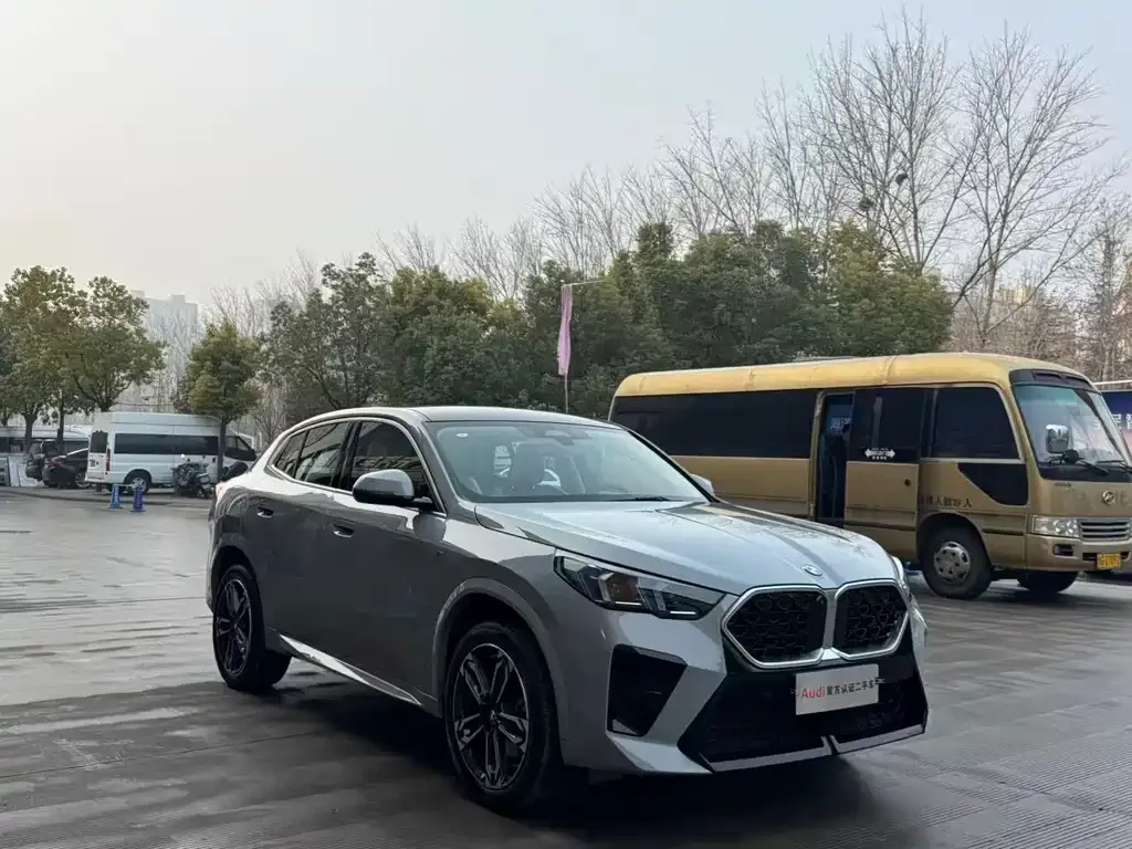 BMW X2 (Import) 2024 из CN, фото 5