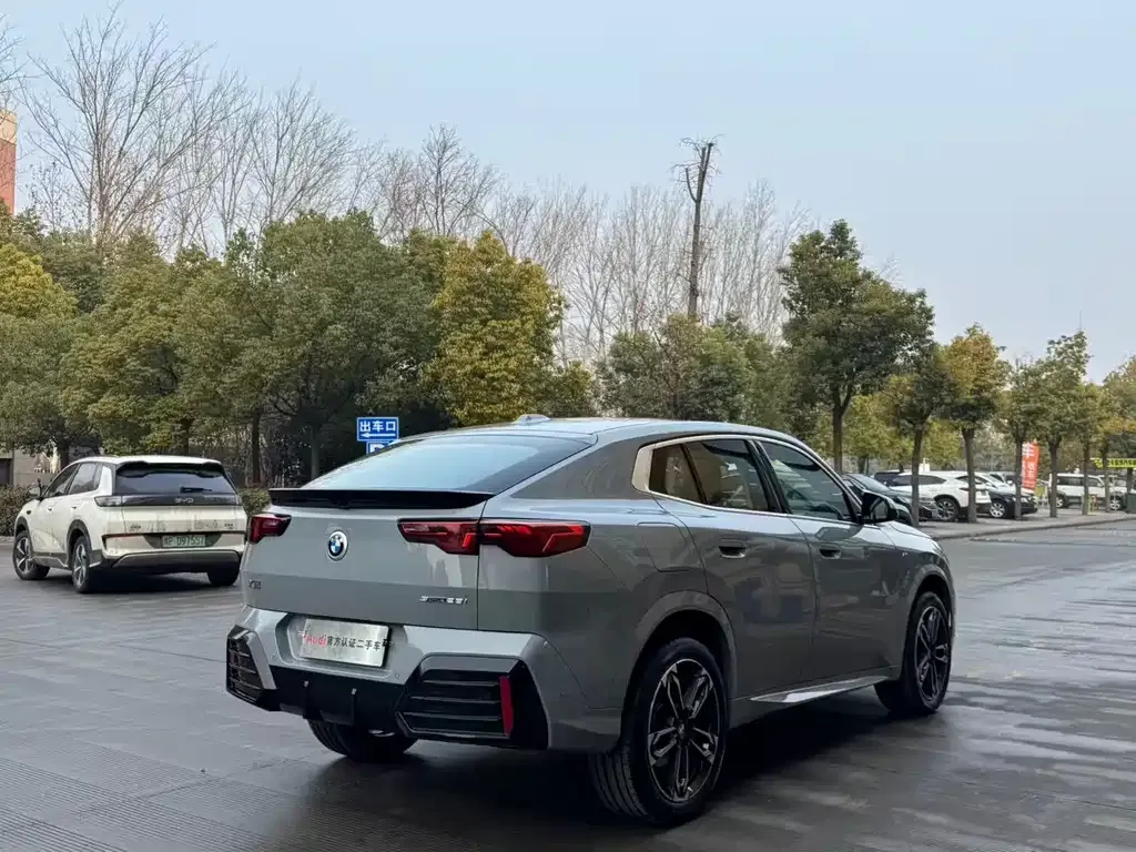 BMW X2 (Import) 2024 из CN, фото 9
