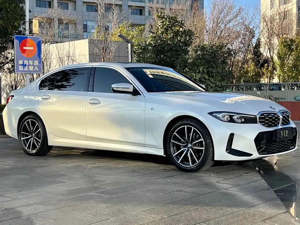 BMW 3 Series 2024 из CN, фото 10