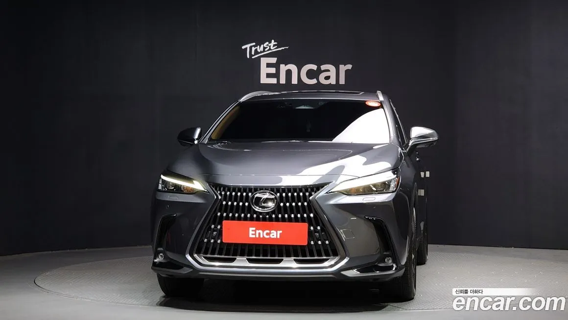Lexus NX 2025 из KR, фото 5