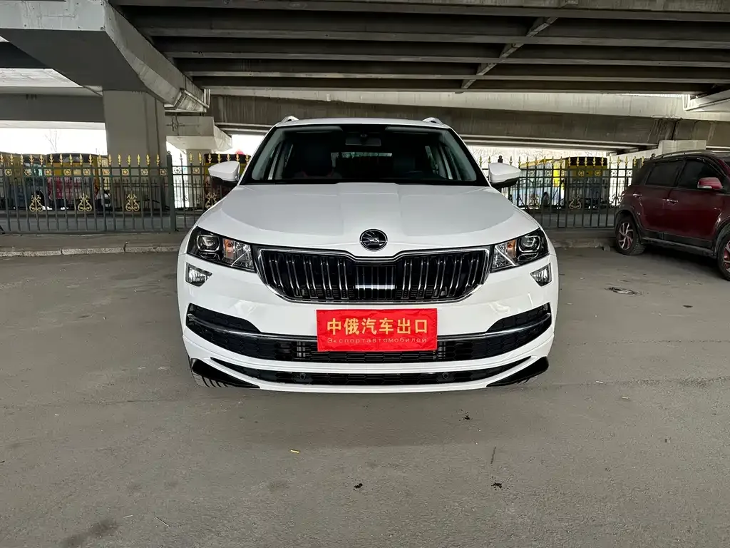 Skoda Karoq 2022 из CN, фото 9