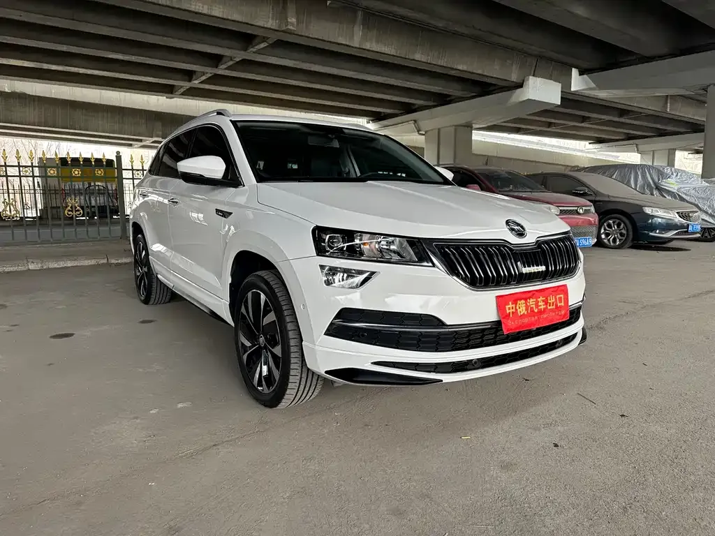 Skoda Karoq 2022 из CN, фото 8