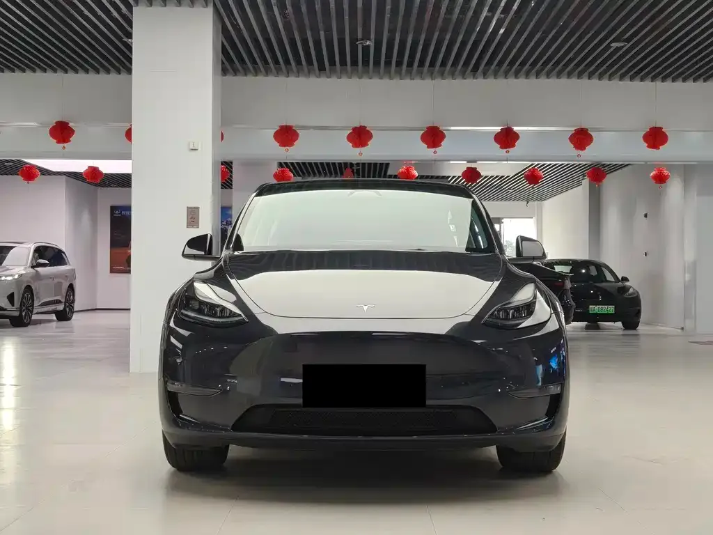 Tesla Model Y 2024 из CN, фото 5