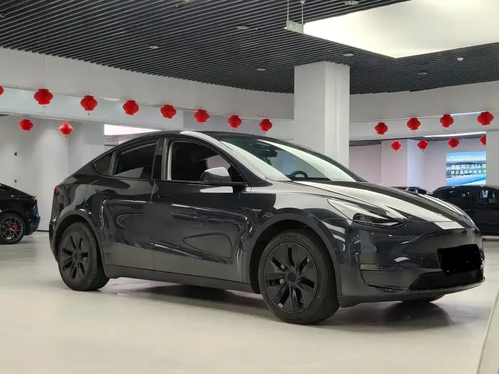 Tesla Model Y 2024 из CN, фото 2