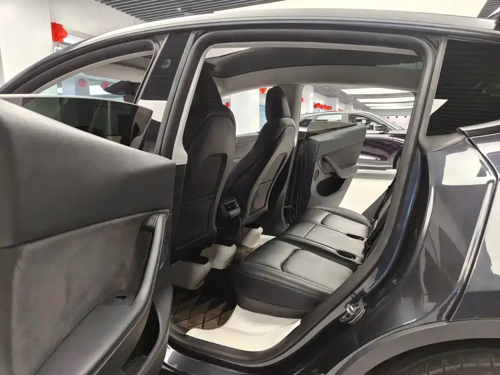 Tesla Model Y 2024 из CN, фото 6