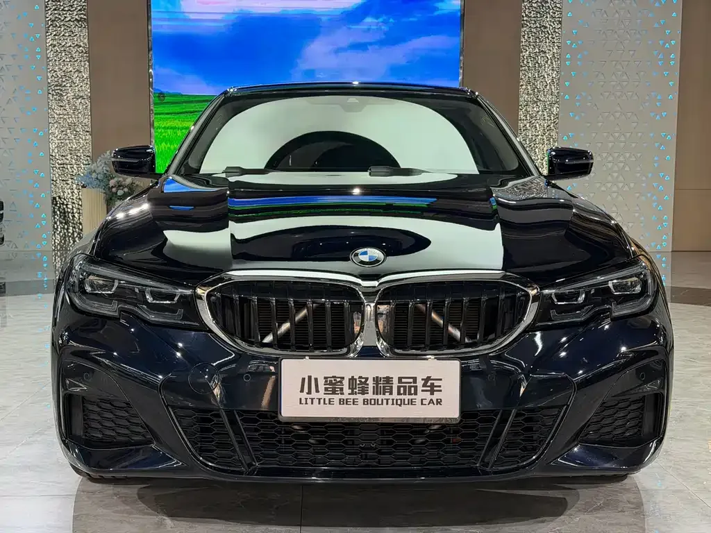 BMW 3 Series 2021 из CN, фото 10