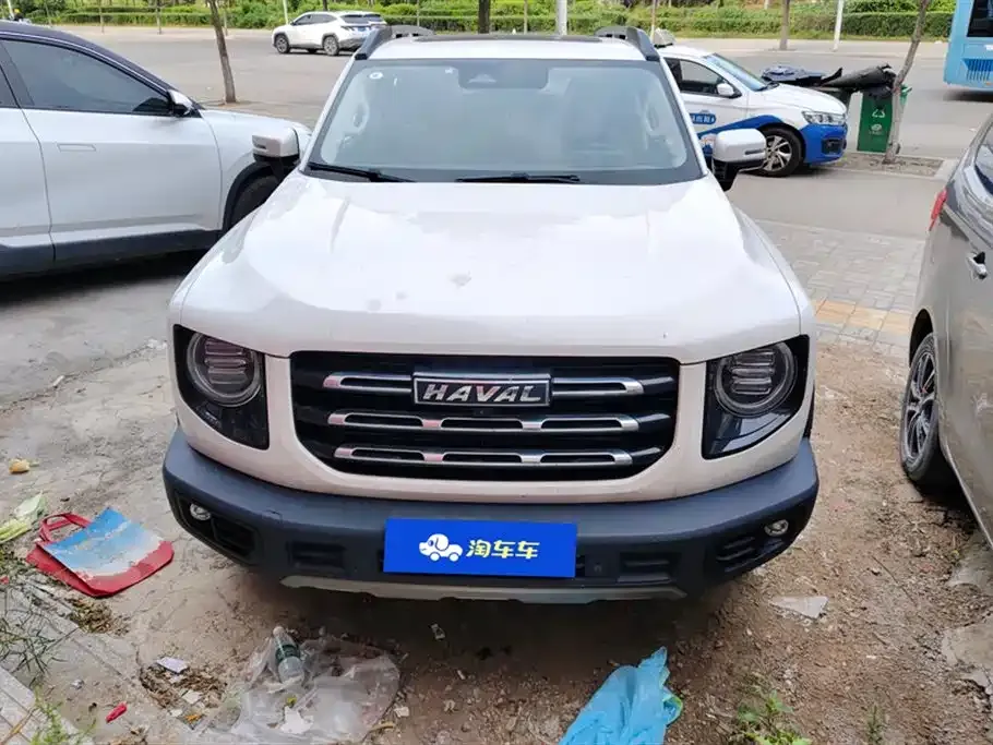Haval Big Dog 2021 из CN, фото 9