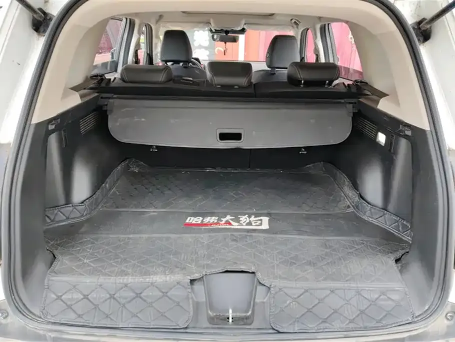 Haval Big Dog 2021 из CN, фото 2