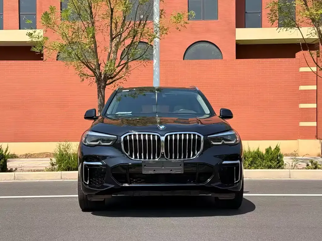 BMW X5 2023 из CN, фото 10
