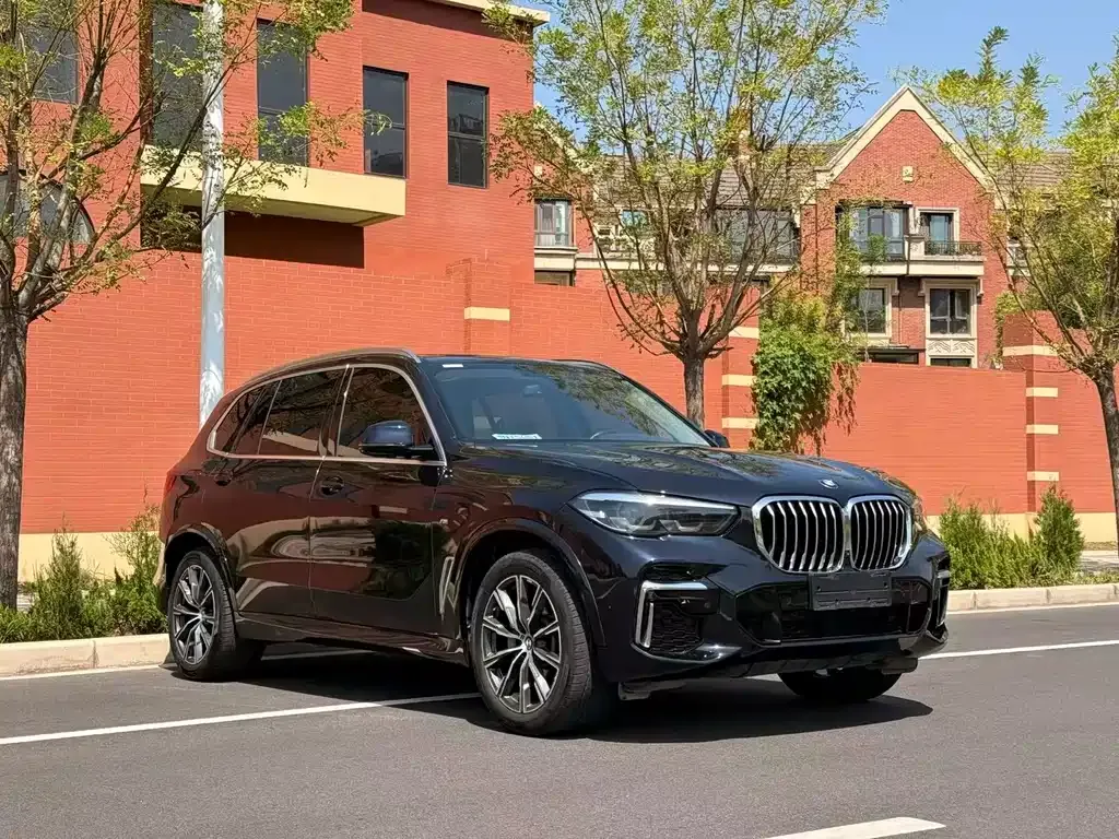 BMW X5 2023 из CN, фото 6
