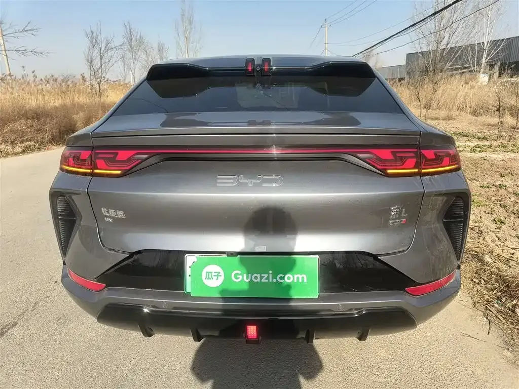 BYD L EV 2025 из CN, фото 6