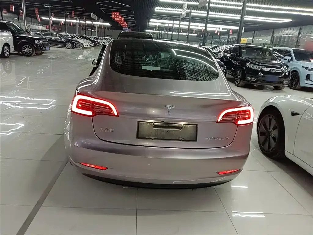 Tesla Model 3 2021 из CN, фото 3