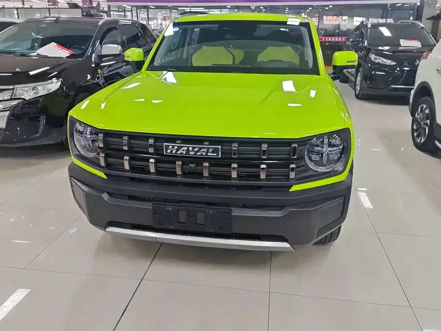 Haval Cool Dog 2022 из CN, фото 6