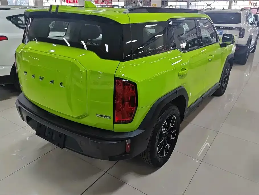 Haval Cool Dog 2022 из CN, фото 4