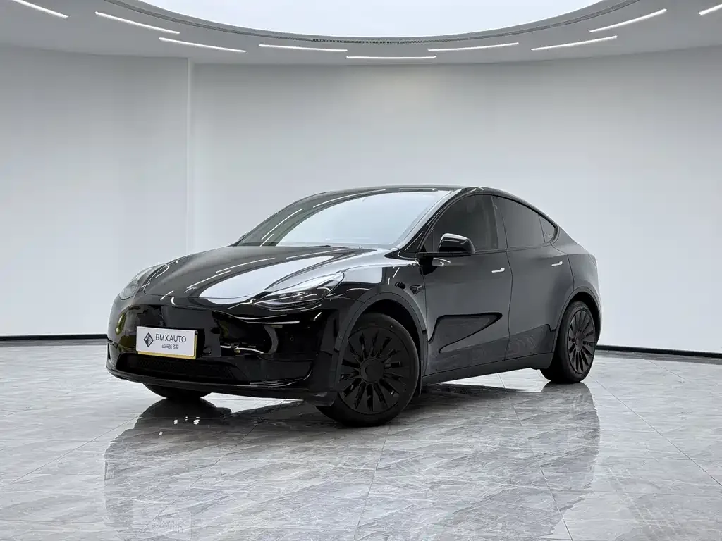 Tesla Model Y 2023 из CN, фото 1