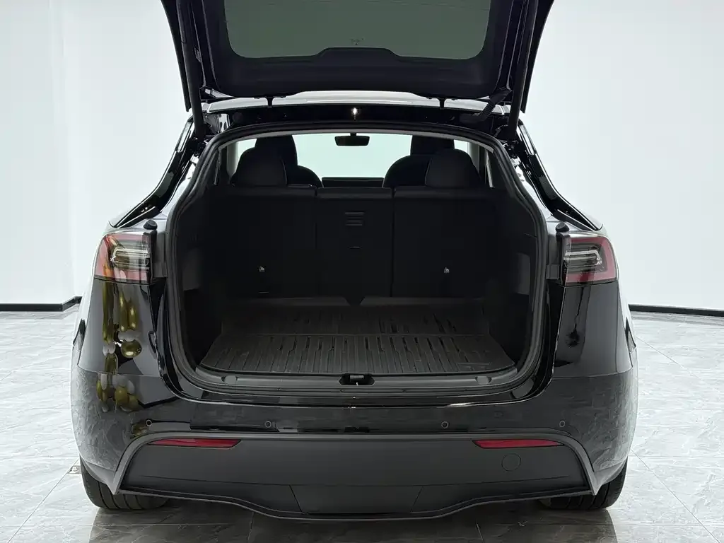 Tesla Model Y 2023 из CN, фото 8