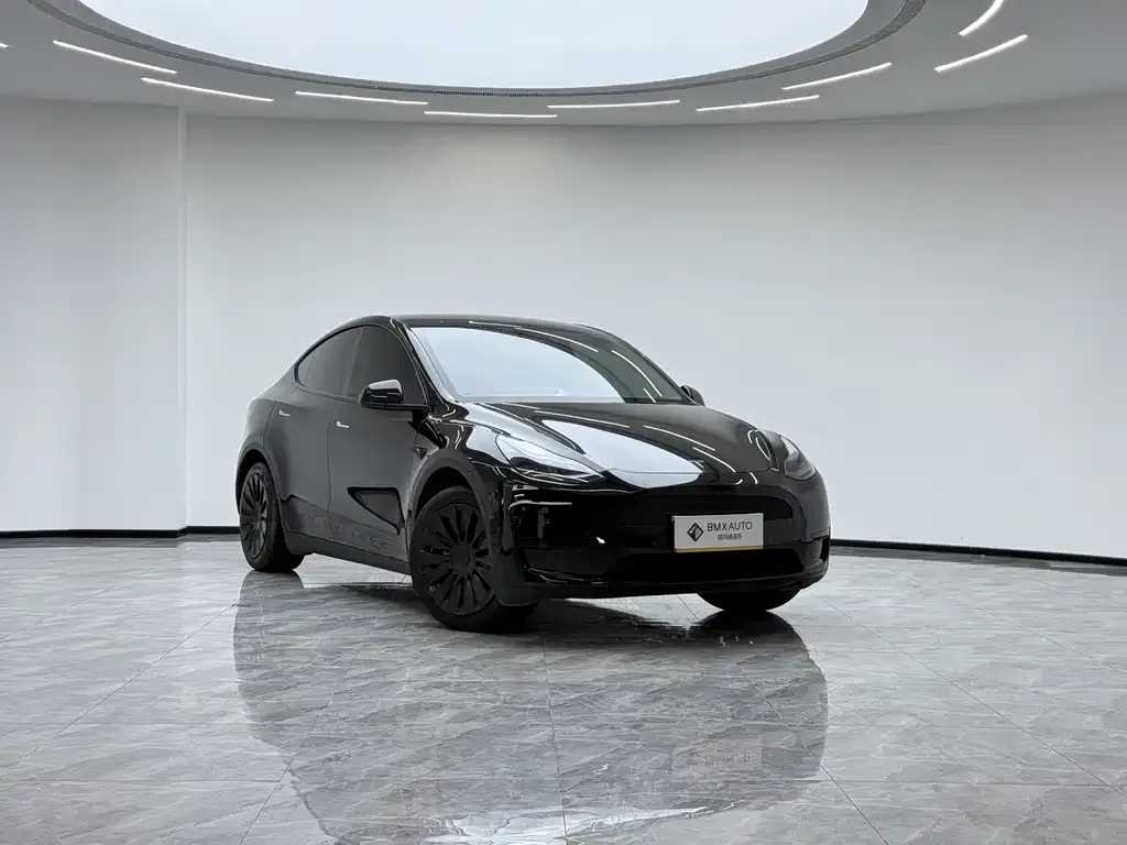 Tesla Model Y 2023 из CN, фото 7