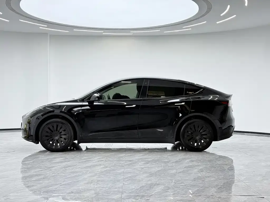 Tesla Model Y 2023 из CN, фото 6