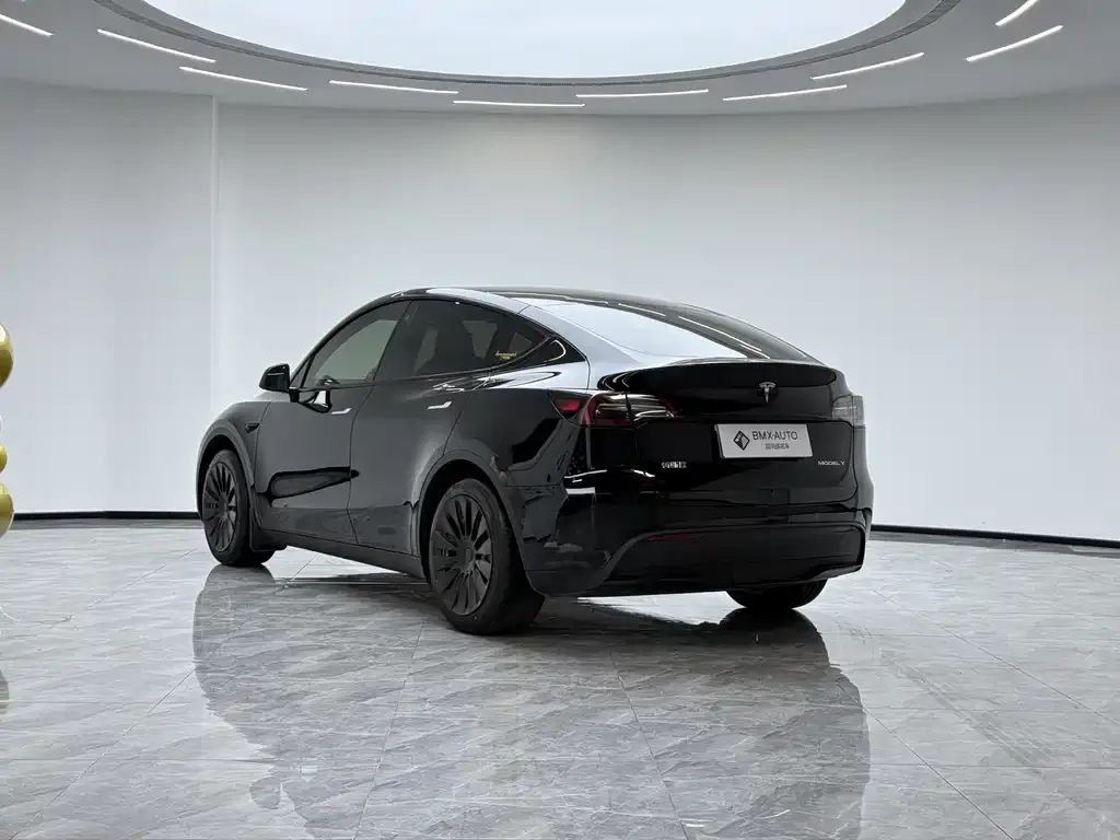 Tesla Model Y 2023 из CN, фото 9