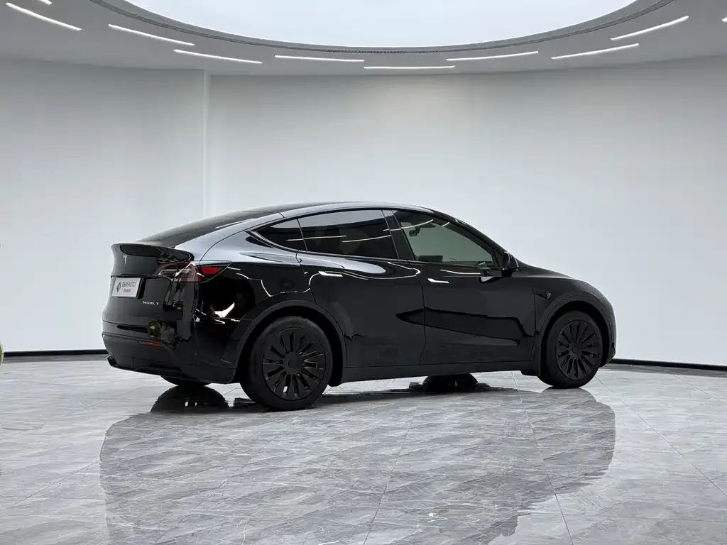 Tesla Model Y 2023 из CN, фото 5